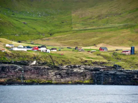 เกาะคาลซอย