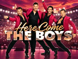 <Here Come The Boys> Tour