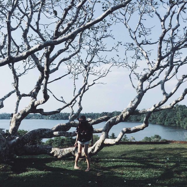 斯里蘭卡#hotelcation#