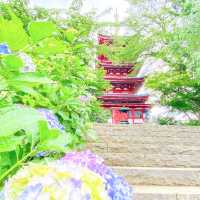 千葉県にあるおすすめの紫陽花寺