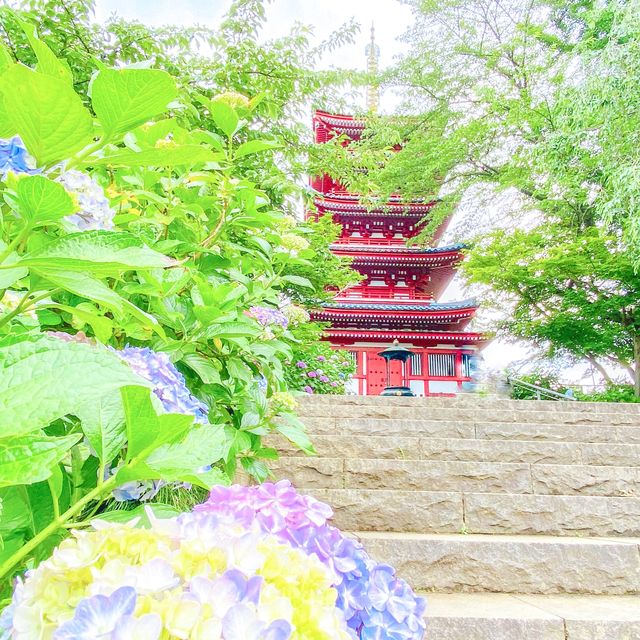 千葉県にあるおすすめの紫陽花寺
