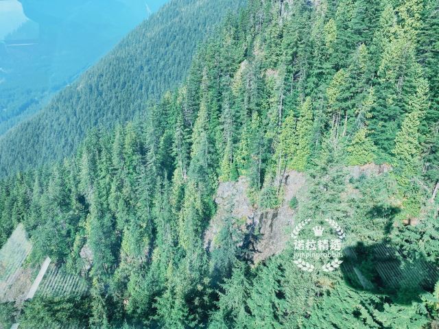松雞山
