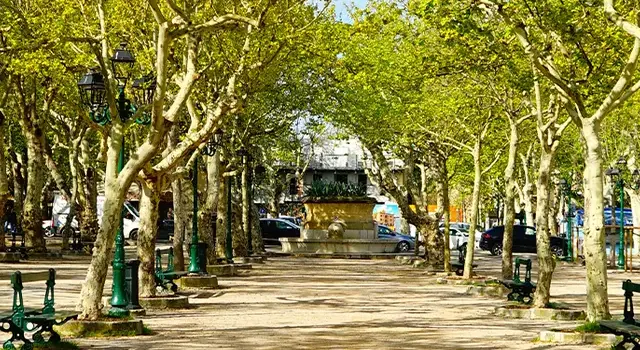 Place des Lices