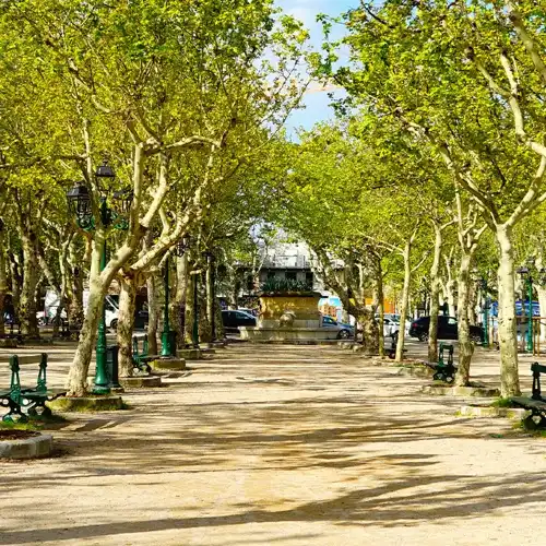 Place des Lices