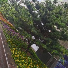 鑫江溫德姆水青咖啡苑張用戶圖片