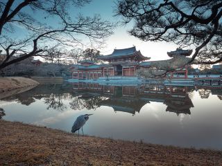 宇治日帰り旅行プラン