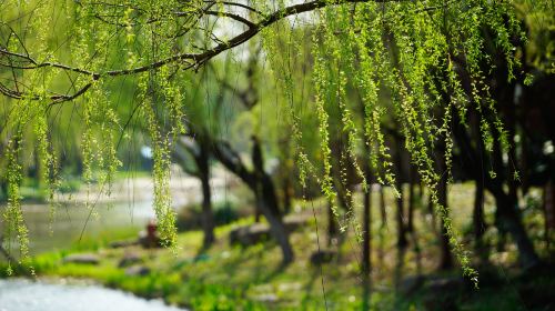 구춘 공원(고촌 공원)