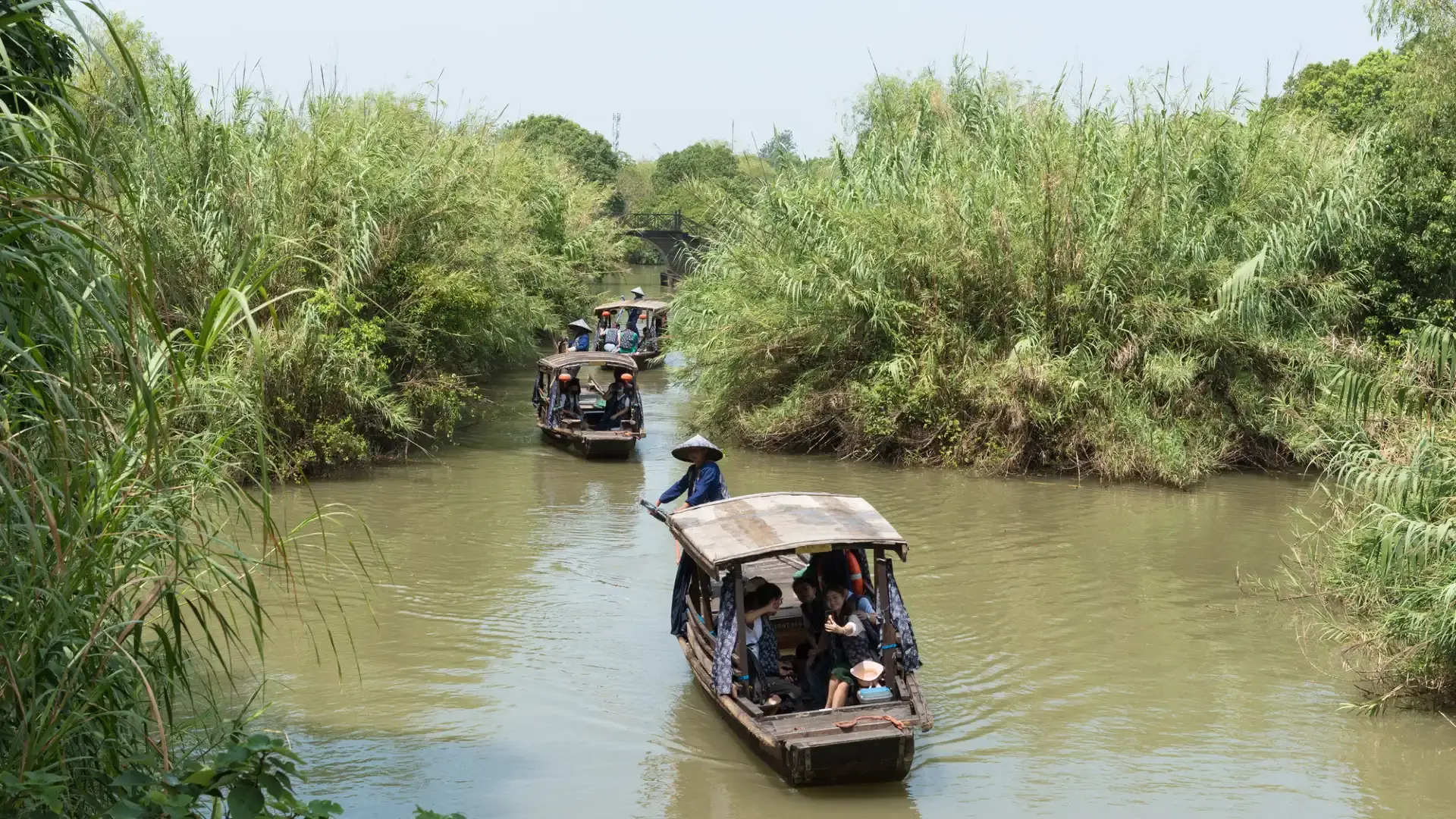 Hotels near Reed Maze