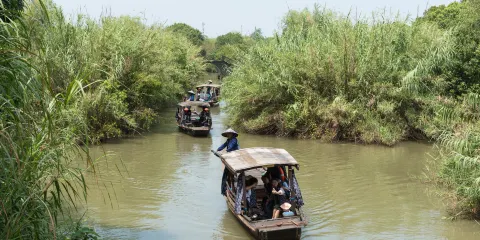 沙家浜國家濕地公園-蘆葦迷宮