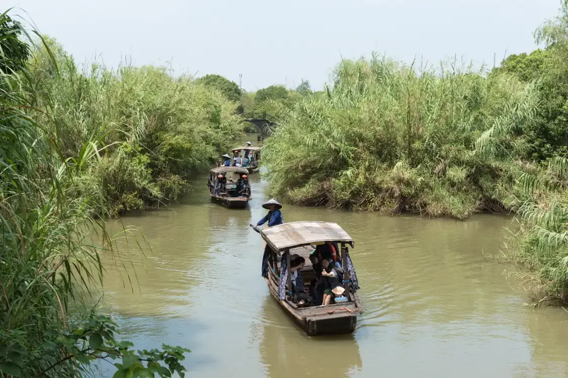 Hotels near Reed Maze