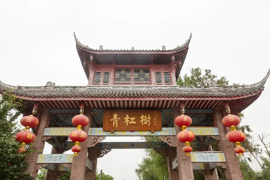 Qinggangshu Sceneic Area
