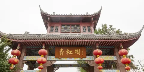 三道堰青槓樹景區