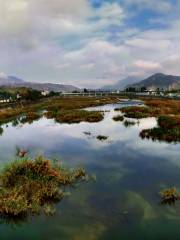 Tantou Wetland Park