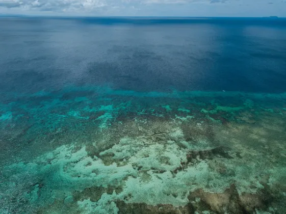 Porter Airlines Flights to Townsville