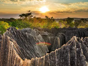 Tsingy de Bemaraha Strict Nature Reserve