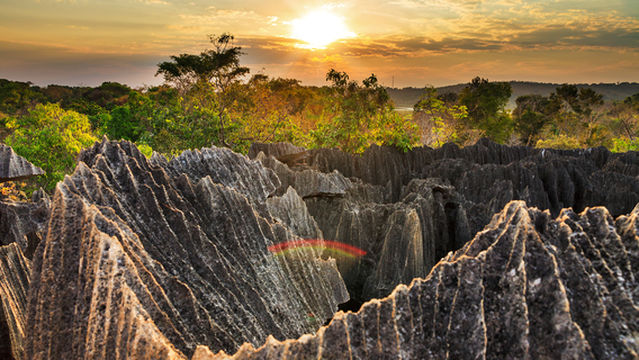 Tsingy de Bemaraha Strict Nature Reserve