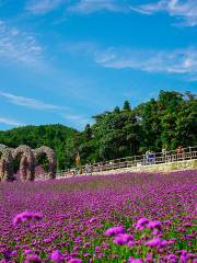 Yesanguan Forest Flower Sea