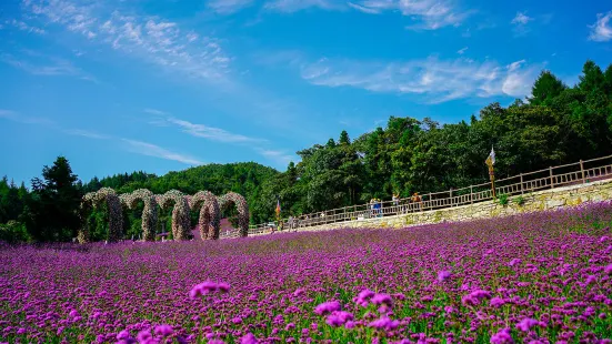 Yesanguan Forest Flower Sea