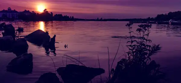 Hotels in Gravenhurst
