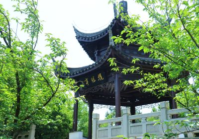 香山景区