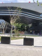 Zhejiang Xiaobaihua Yue Theater