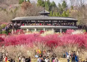 山南梅園