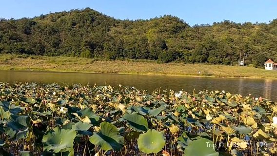 Xiangshan