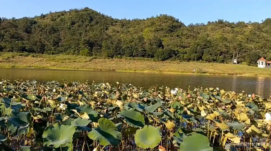3_xiang shan