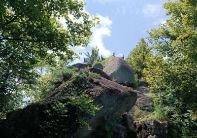 通城県錫山森林公園