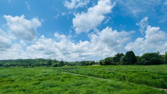 Big Stone Yaguang Lake National Wetland Park