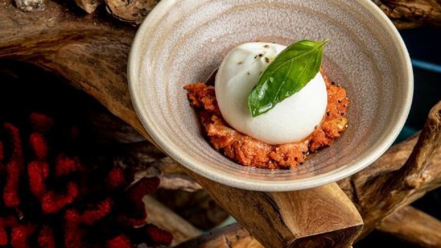 Ephemera Restaurant - Under the sea