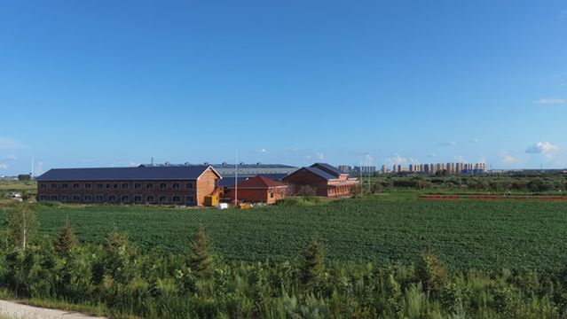 Chaoyang Yaodi Village