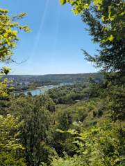 Forêt de la Londe-Rouvray