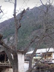 Yongzhi Village