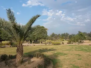 Faridia Park فریدیہ پارک