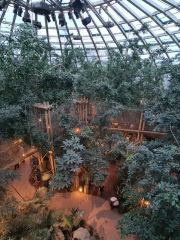 Jungle Dome