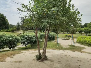 Tau Devi Lal Park