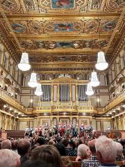 Concert At Brahms Hall, Vienna