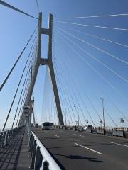 Yangpu Bridge