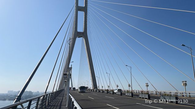 Yangpu Bridge
