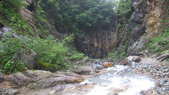 Condado de Tianquan