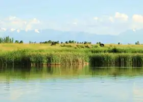 花城湖國家濕地公園