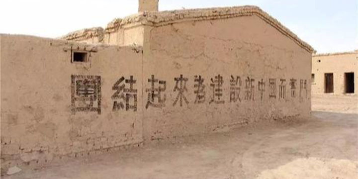 hong xing er chang jun ken di wo zi yi zhi feng mao qu