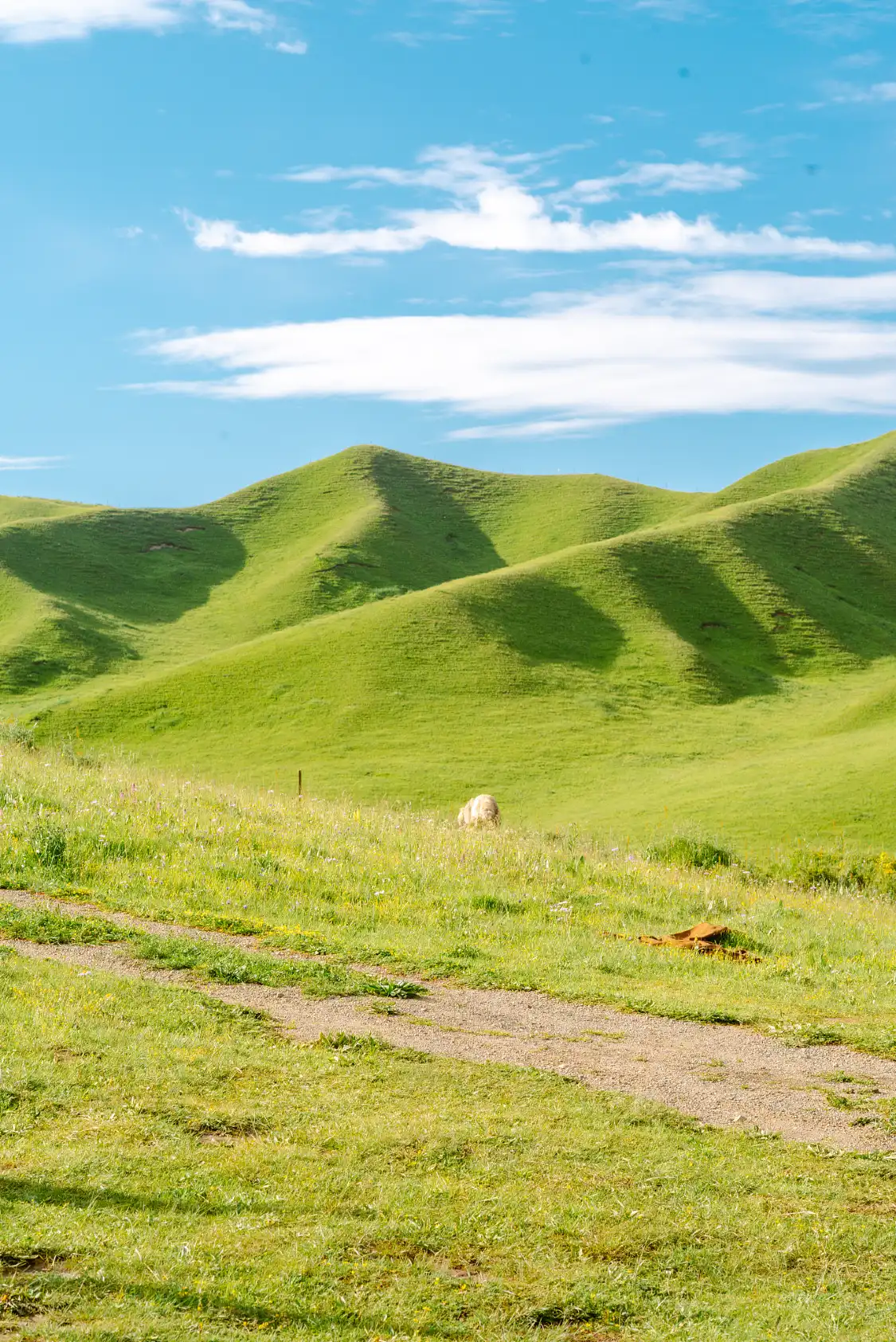Hotels near Xiahe Sangke Grassland - Pasture