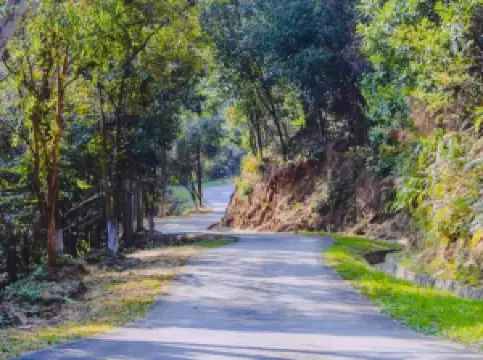 Suifenhe Forest Park