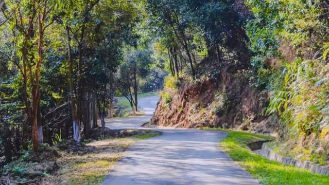 Suifenhe Forest Park