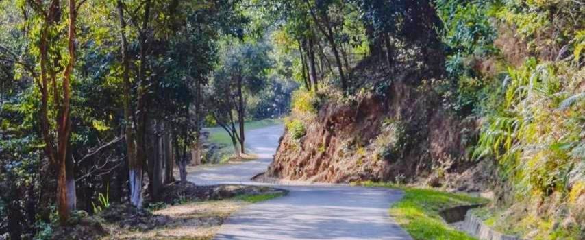 Suifenhe Forest Park