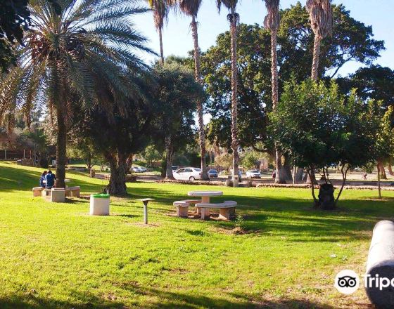 亞實基倫 自由行套票