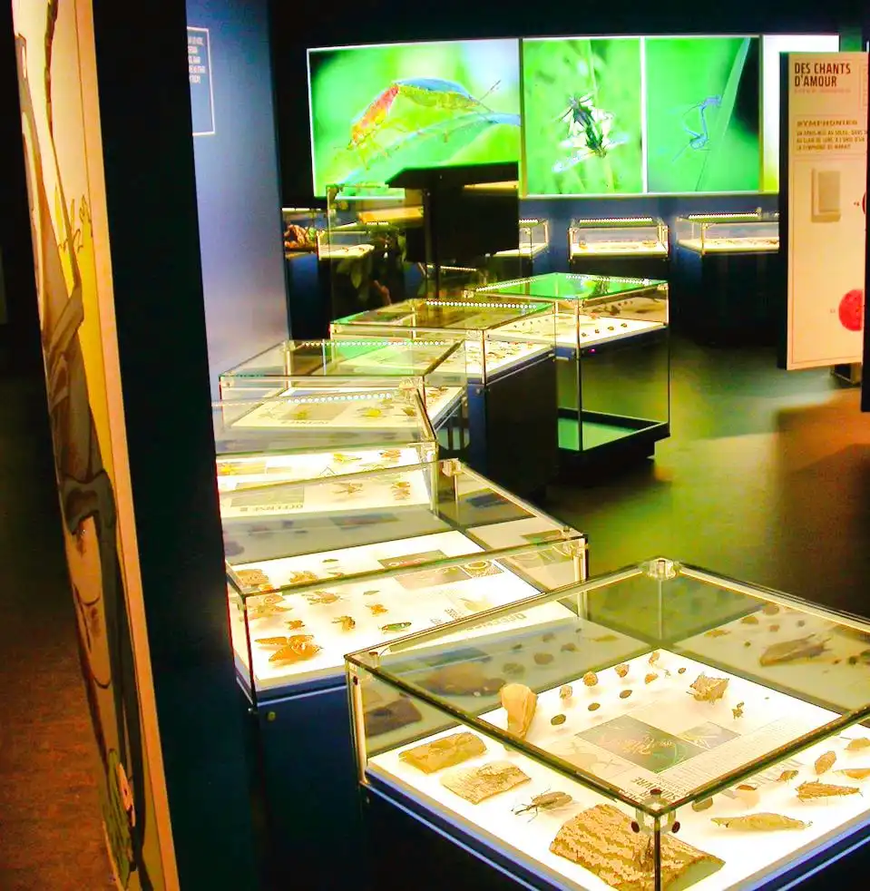 Hotel in zona Insectarium
