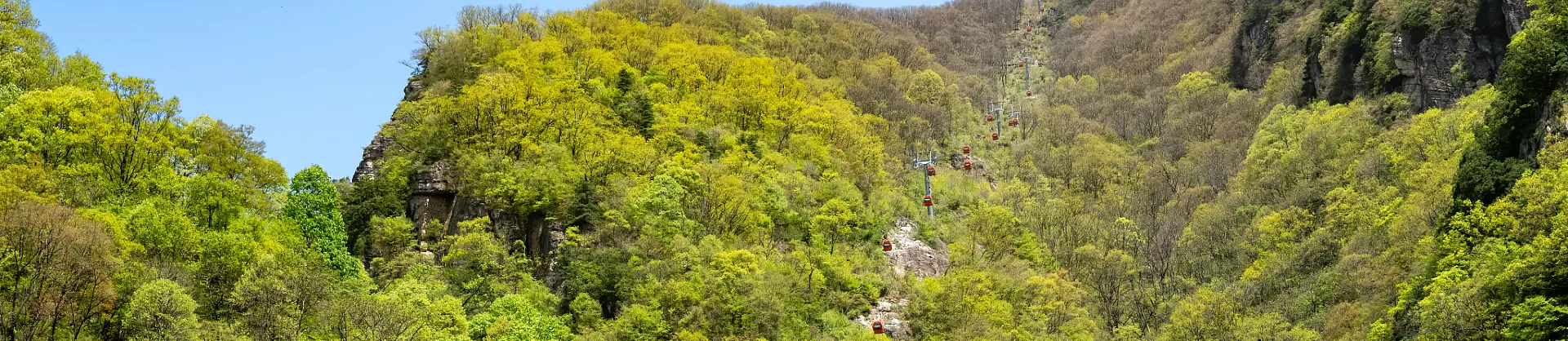 Fall Viewing Attractions